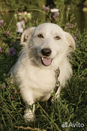 Маленький Филя в дар