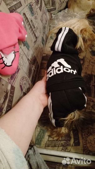 Костюм для собаки