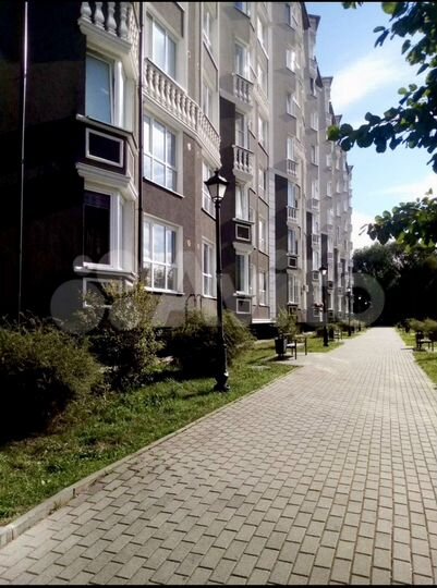 1-к. квартира, 41,3 м², 4/8 эт.