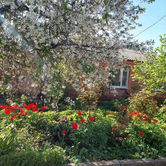 Дом 127 м² на участке 4,4 сот.