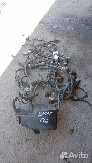 Проводка моторного отсека Nissan Elgrand PE52