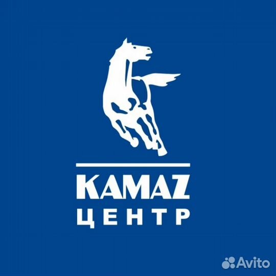 Руководитель малярно-кузовного цеха