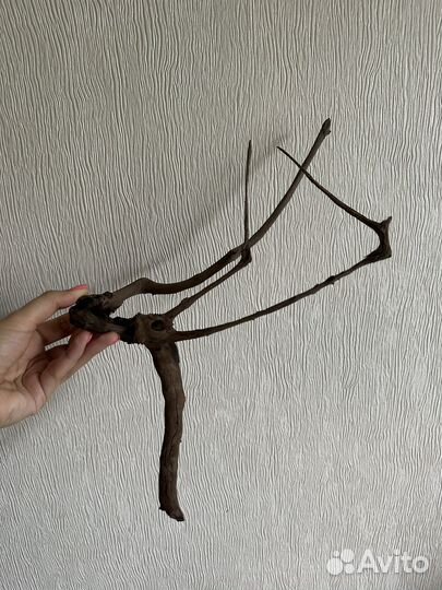 Коряги для аквариума