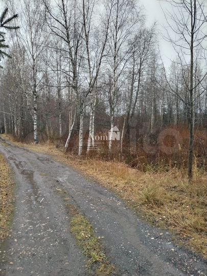 Участок 7 сот. (СНТ, ДНП)