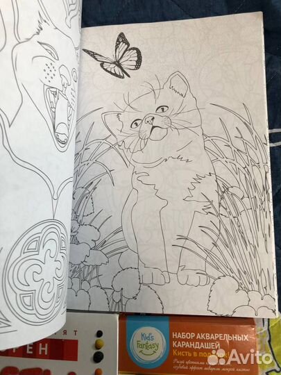 Секреты пластилина, Кототерапия, Рисование