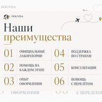 Анализ на титры бешенства Горловка, Горловка