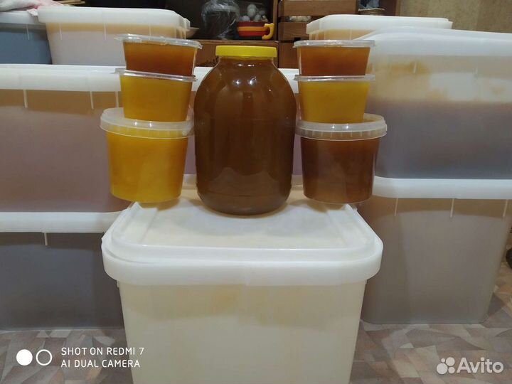 Мед, пыльца, прополис