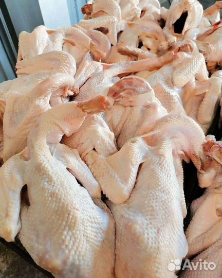 Мясо молодых суповых петушков