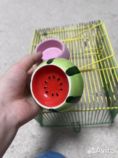 Принадлежности для хомяка