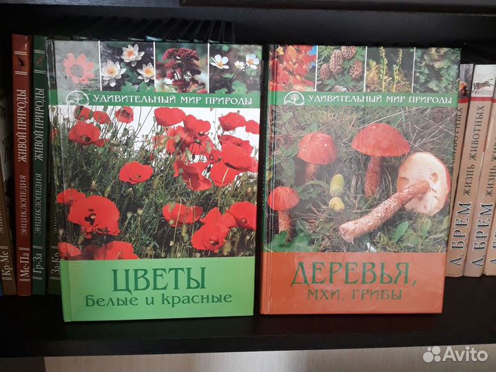 Книги разные