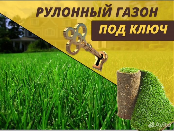Рулонный газон под ключ Элитный