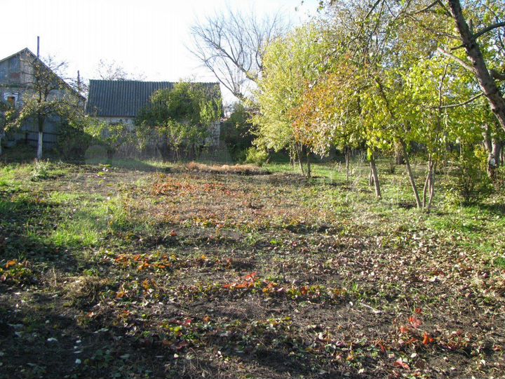 Дом 55 м² на участке 48 сот.