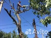 Спил и вывоз деревьев