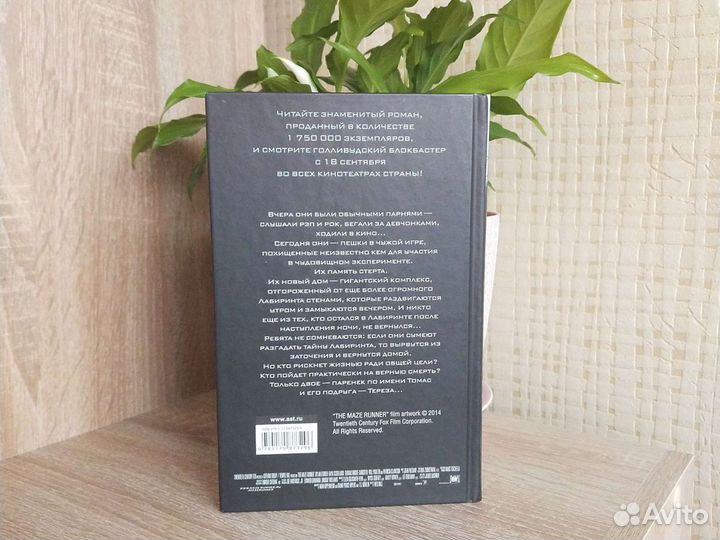 Бегущий в лабиринте