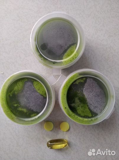 Витграсс замороженный