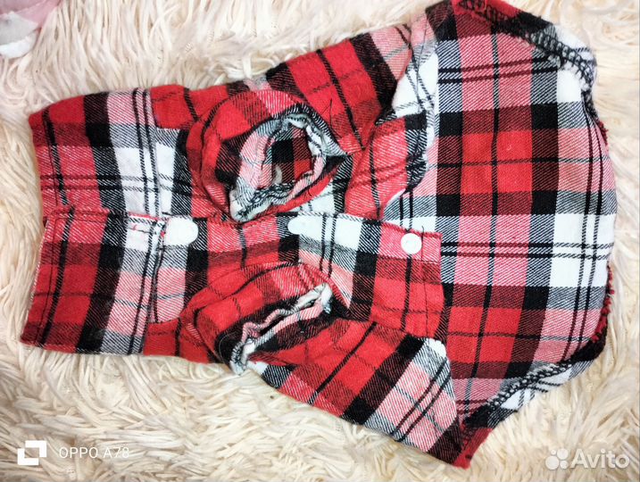 Одежда для маленьких собак