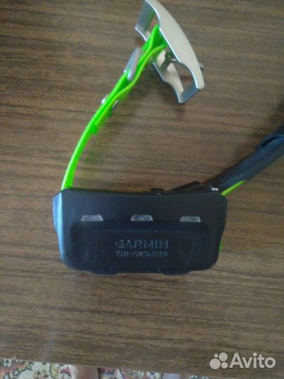 Ошейник Garmin T5 euro для собаки