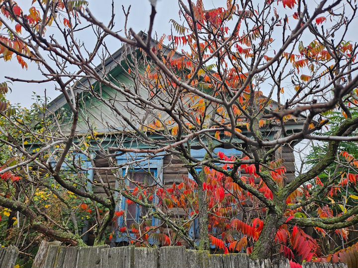 Дом 39,1 м² на участке 10 сот.