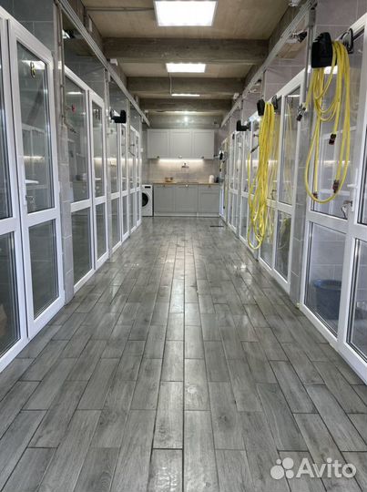 Гостиница для собак передержка