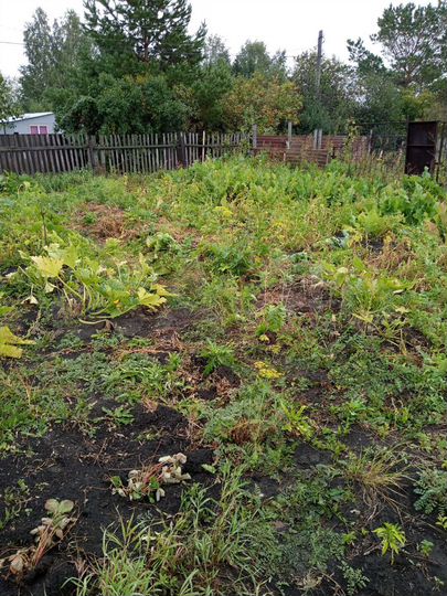 Дача 20 м² на участке 7,5 сот.