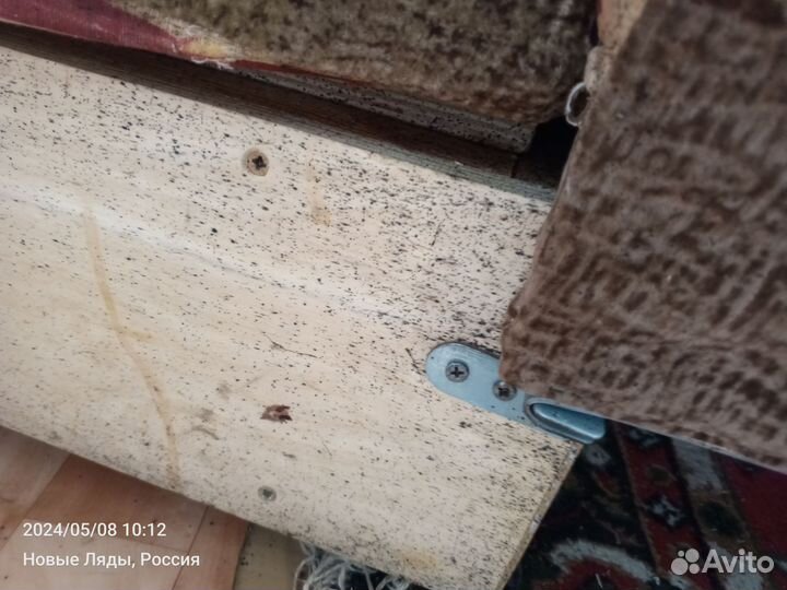 Клещи крысы уничтожение тараканов клопов