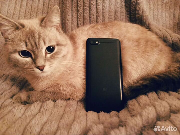 Телефон xiaomi redmi 6A