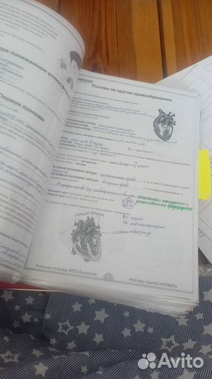 Материалы для подготовки к ЕГЭ, биология ЕГЭ, ЕГЭ