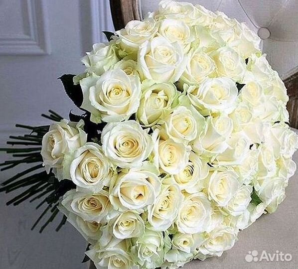 Высокие Розы с Доставкой