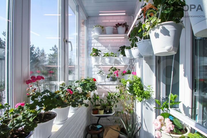 2-к. квартира, 82 м², 2/4 эт.