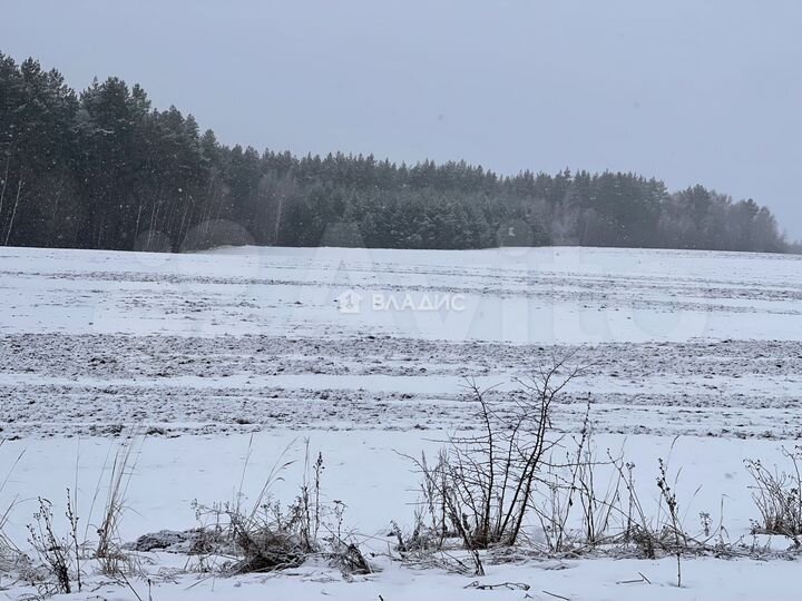 Участок 4,17 га (СНТ, ДНП)