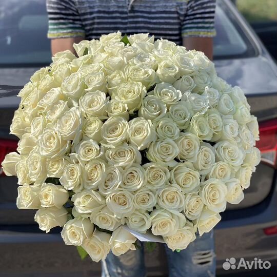 Букет 101 роза белая 60 см