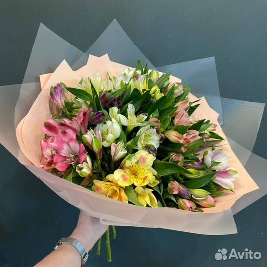 Альстромерии Альстромерия