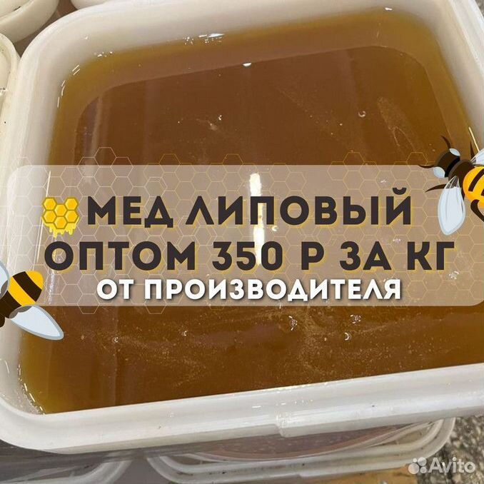 Горно алтайск мед