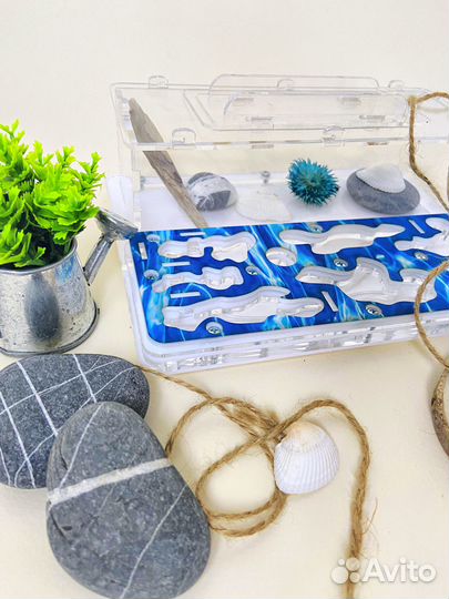 Муравьиная ферма с муравьями