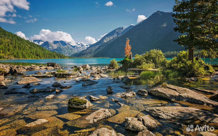 Тур поездка в авторский тур на Алтай на 7 д