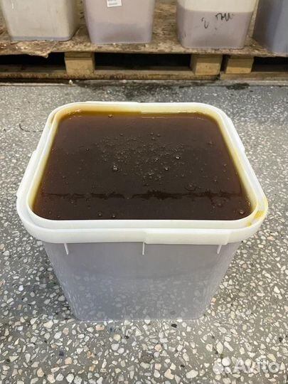 Гречишный мед оптом. С Алтая