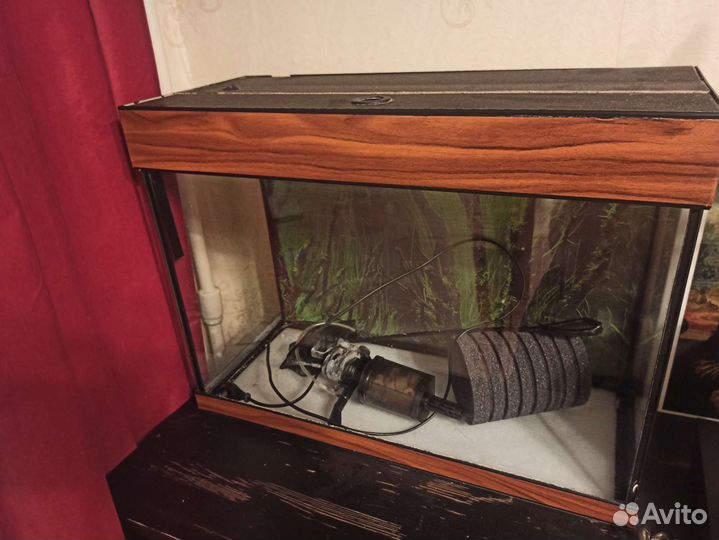 Аквариум