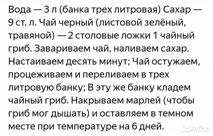 Чайный гриб комбуча. Морской индийский рис