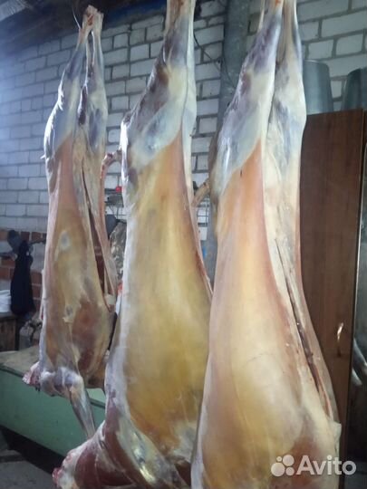 Мясо баранина