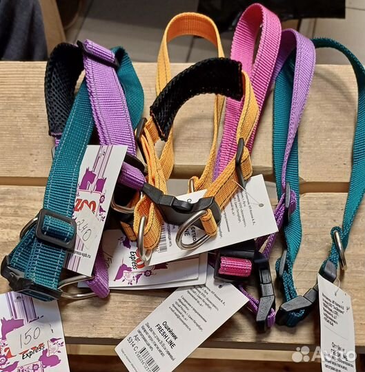 Ошейники текстильные Зоооэкспресс