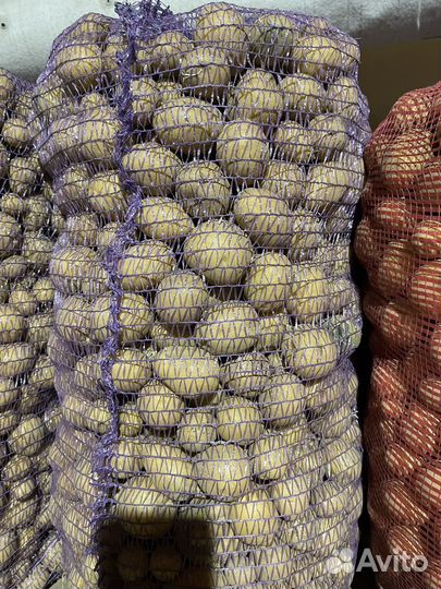 Картофель мелкий