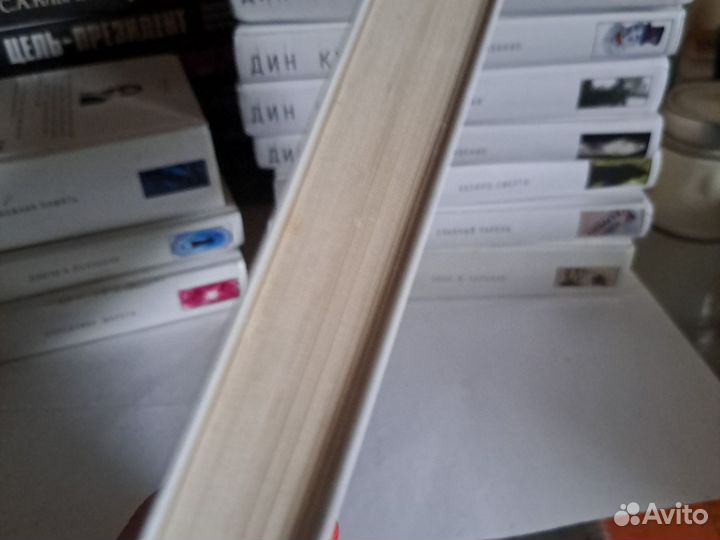 Дин Кунц Зимняя луна