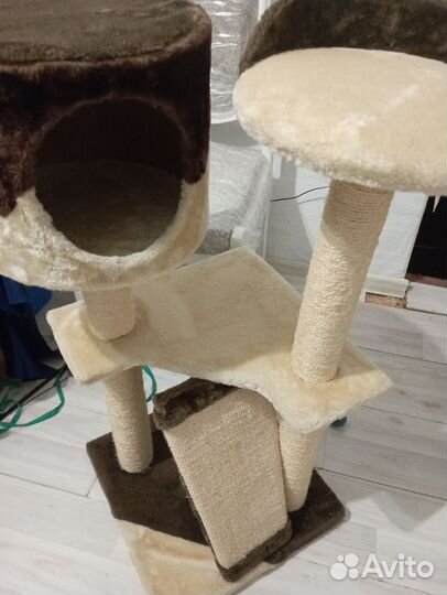 Когтеточки- лежанки