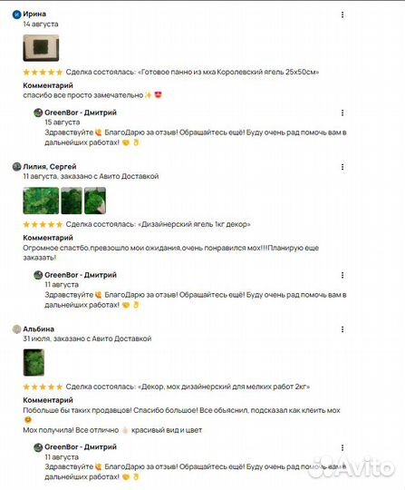 Мох для интерьерных работ для кашпо и реек декор