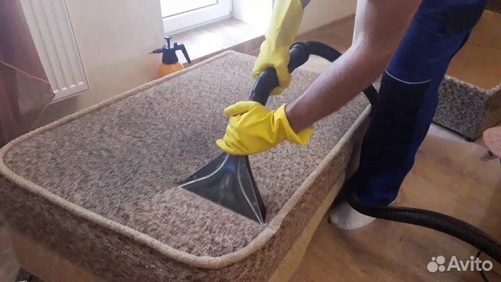 Аренда моющего пылесоса karcher se 6.100