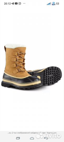 Sorel caribou