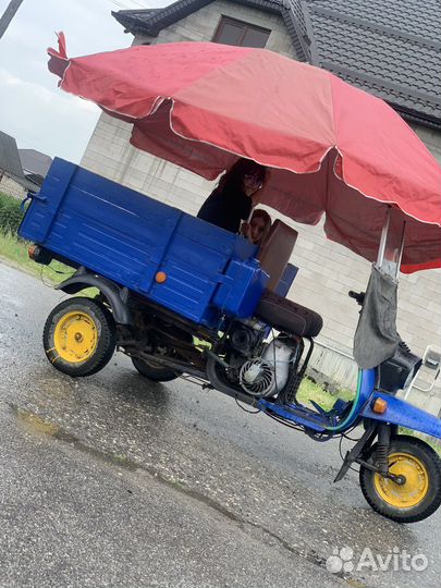 Муравей мотороллер