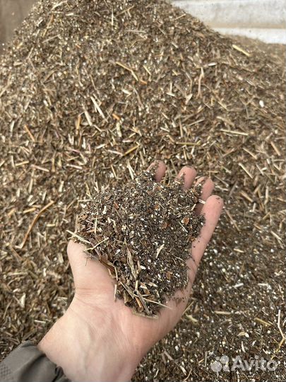 Отходы гречихи