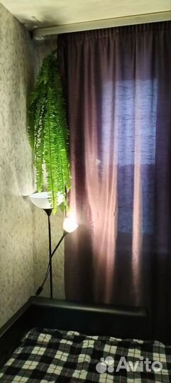 Папоротник искусственный