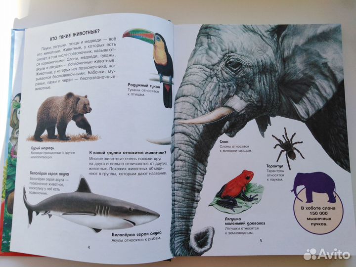 Детская энциклопедия и сказки в одной книге